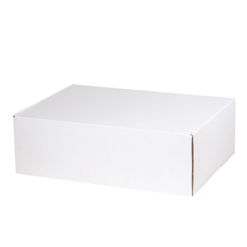 Подарочная коробка универсальная средняя, белая, 345 х 255 х 110 2