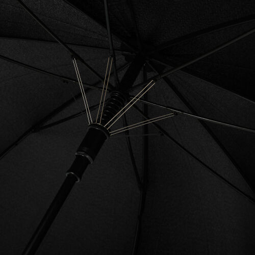 Зонт-трость Torino, черный 2