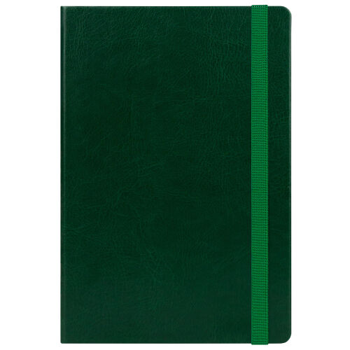 Ежедневник Voyage BtoBook недатированный, зеленый (без упаковки, 9