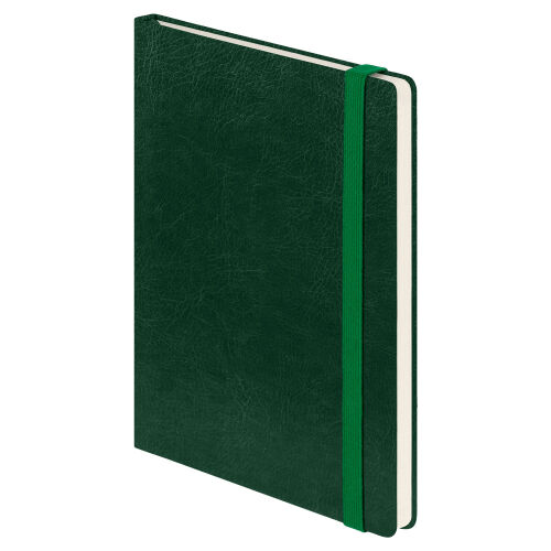 Ежедневник Voyage BtoBook недатированный, зеленый (без упаковки, 1