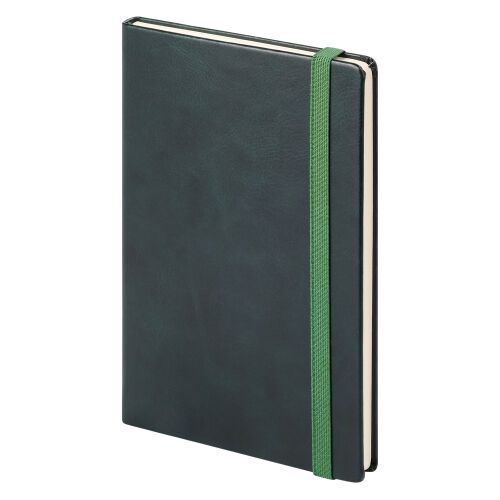 Ежедневник Vegas BtoBook недатированный, зеленый (без упаковки,  11