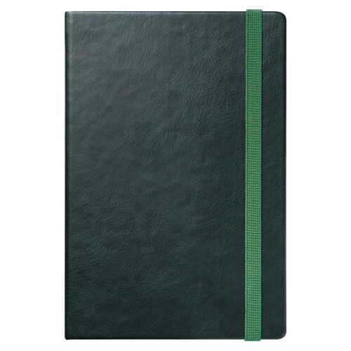 Ежедневник Vegas BtoBook недатированный, зеленый (без упаковки,  13