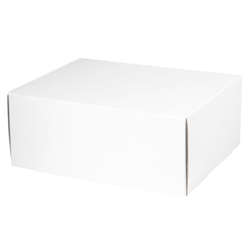 Подарочная коробка универсальная малая, белая, 280 х 215 х 113мм 2