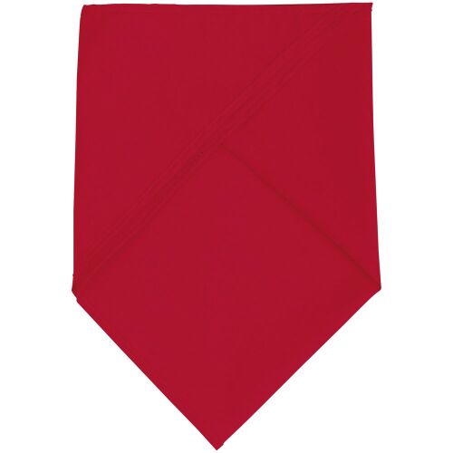 Шейный платок Bandana, красный 2