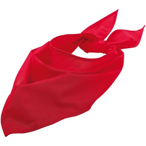 Шейный платок Bandana, красный 1