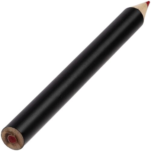 Набор цветных карандашей Pencilvania Tube Plus, черный 3
