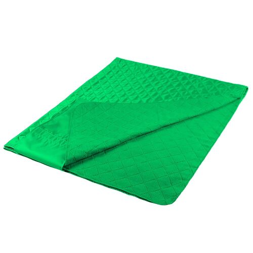 Плед для пикника Comfy, светло-зеленый 2