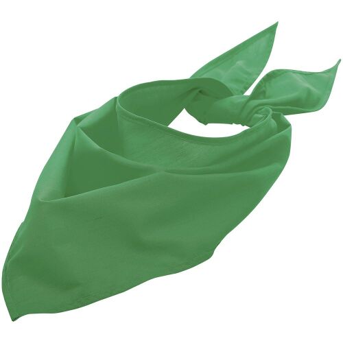 Шейный платок Bandana, ярко-зеленый 1