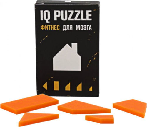 Головоломка IQ Puzzle, домик 1