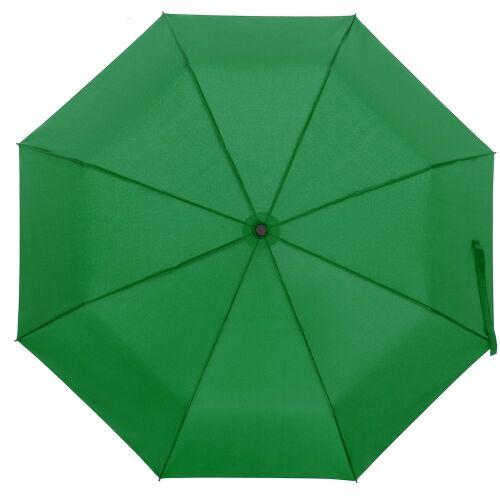 Зонт складной Monsoon, зеленый 1