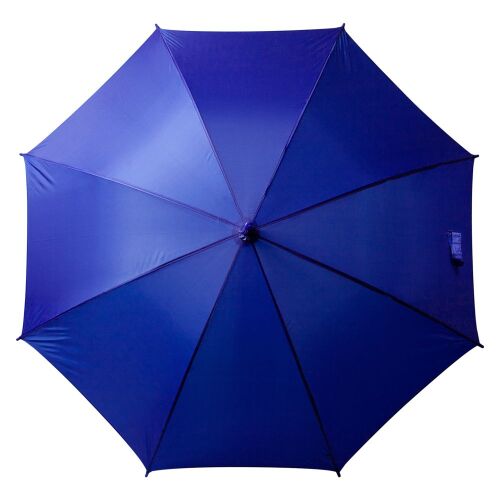 Зонт-трость Promo, синий 2