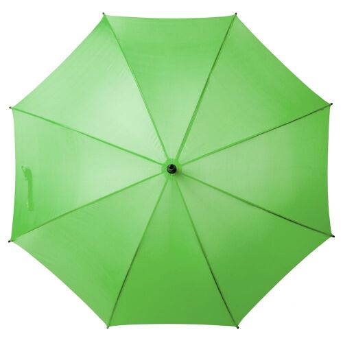 Зонт-трость Standard, зеленое яблоко 2