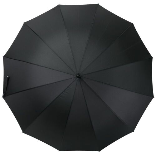 Зонт-трость Lui, черный 9
