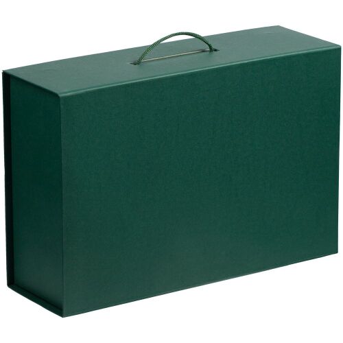 Коробка Big Case, зеленая 2