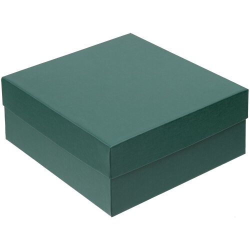 Коробка Emmet, большая, зеленая 1