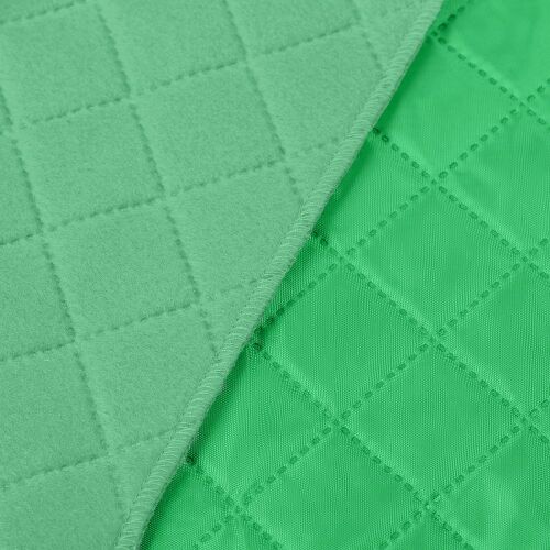 Плед для пикника Soft & Dry, светло-зеленый 3