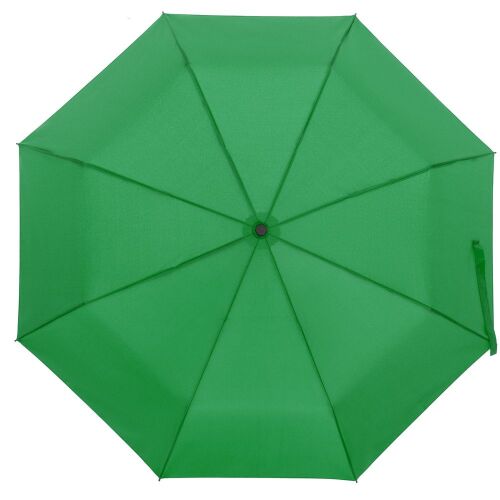 Зонт складной Monsoon, ярко-зеленый 1