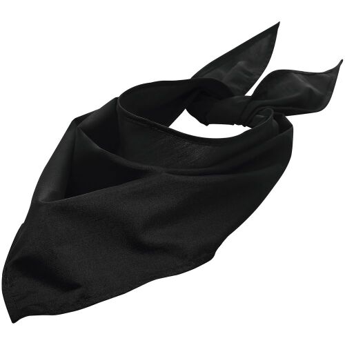 Шейный платок Bandana, черный 1