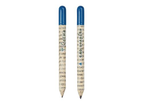 Набор «Растущий карандаш» mini, 2 шт. с семенами голубой ели и с 2