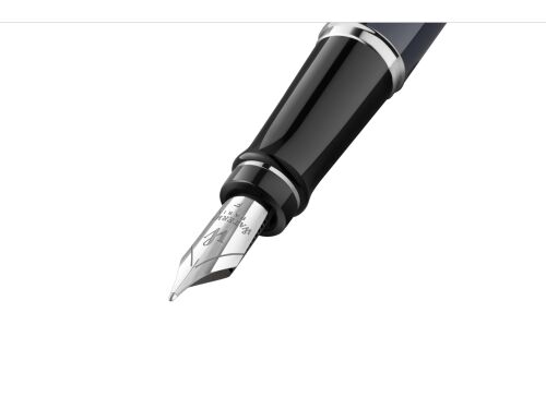 Ручка перьевая Expert Deluxe, F 5