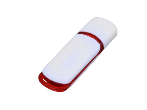 USB 2.0- флешка на 4 Гб с цветными вставками 1