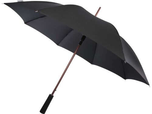 Зонт-трость «Pasadena» 1