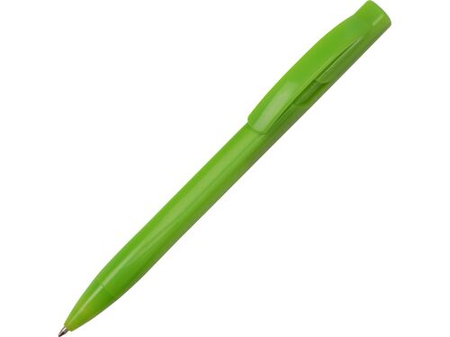 Ручка пластиковая шариковая «Лимбург» 1