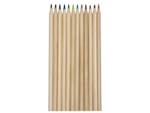 Набор из 12 трехгранных цветных карандашей «Painter» 3