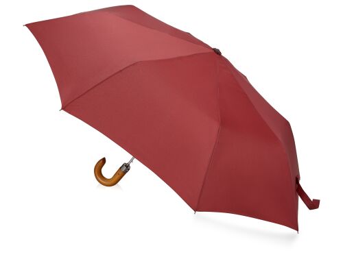 Зонт складной «Cary» 2