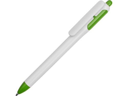 Ручка пластиковая шариковая «Роанок» 1