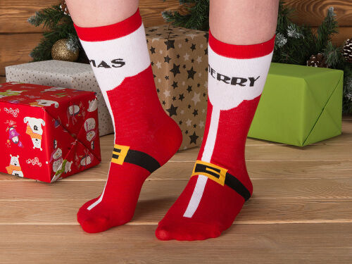 Набор носков с рождественской символикой, 2 пары 6