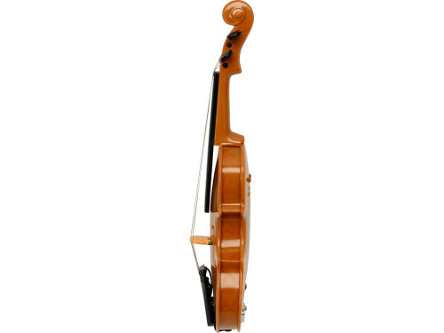 Подарочный набор «Скрипка Паганини» 5