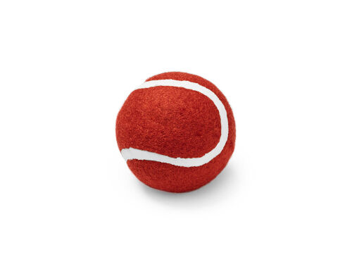 Мяч для домашних животных LANZA 1