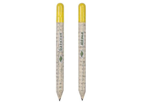 Набор «Растущий карандаш» mini, 2 шт. с семенами базилика и мяты 2