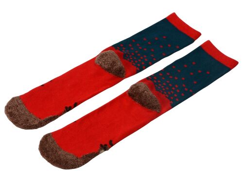 Набор носков с рождественской символикой, 2 пары 10