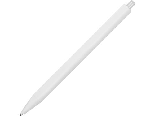 Ручка пластиковая шариковая Pigra P01 1
